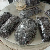 رطب خرما بم ۱۴۰۴|عمده‌فروشی|فیروزکوه, |دیوار