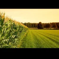 زمین-بالای-بیمارستان-حکیم