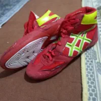 کفش کشتی|کیف، کفش، کمربند|شاهین دژ, |دیوار