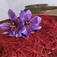 فرصت ویژه عمده‌فروشان تهران با بسته‌بندی انحصاری