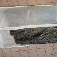 کت سارافون مجلسی|لباس|صدرا-فارس, فاز ۱|دیوار