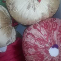 ۲۰ عددبالشت گل پر اصل اصفهان|رختخواب، بالش، پتو|لردگان, |دیوار