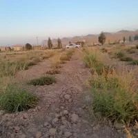 زمین-باغ-کشاورزی-بزرگ-سنددار-اقساطی