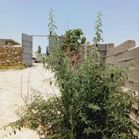 فروش زمین ۱۰۰۰ متری در سیخ فارس مبین|فروش زمین و ملک کلنگی|شیراز, معالی‌آباد|دیوار