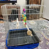 قفس|لوازم جانبی حیوانات|تهران, فلاح|دیوار