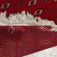 فرش ترکمن|فرش|مشهد, سرافرازان|دیوار