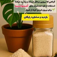 بازدید و مشاوره رایگان|خدمات باغبانی و درختکاری|دوگنبدان, |دیوار