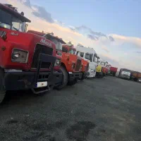 مرکز اسقاط.ماک مدل پاین