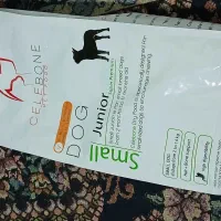 غذا سگ نژاد کوچیک نابالغ