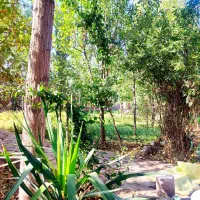 اجاره روزانه باغ ویلا نزدیک شهر زیبا و شیک