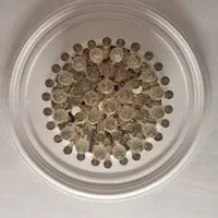 لوستر سقفی کریستالی (دو عدد)