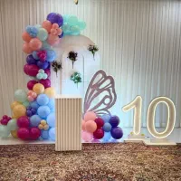 بادکنک آرایی پذیرفته میشود|خدمات پذیرایی، مراسم|اردبیل, |دیوار