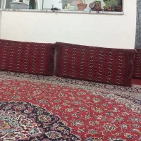 پشتی