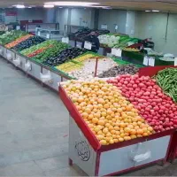 جذب نیروی کار در تربار میوه فروشی