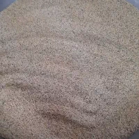 ارزن تازه بوجاری شده|پرنده|الوند, |دیوار