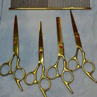 قیچی اصلاح حیوانات