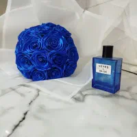 گل باکس گل شاخه گل|گل و گیاه طبیعی|گرگان, |دیوار