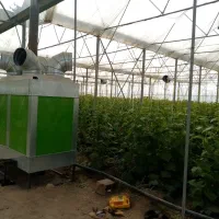 فروش ۱۵ هکتار زمین کشاورزی وگلخانه در بیضا