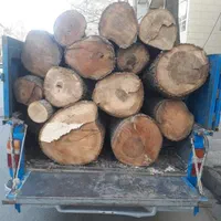 خرید چوب هرس قطع درختان با اره‌برقی سمپاشی علفزنی|خدمات باغبانی و درختکاری|کرمانشاه, |دیوار