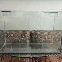 اکواریوم نو|ماهی|تهران, مسعودیه|دیوار