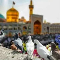 تور مشهد ازرشت با قطار هواپیما اتوبوس