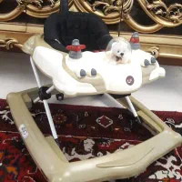 روروک آریو