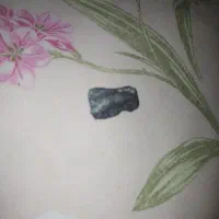 یه تیکه سنگ کوچک  مشکی.ناب جذب اهنربا و تعدادی ...