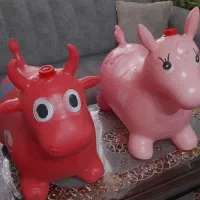 اسب و گاو بادی موزیکال