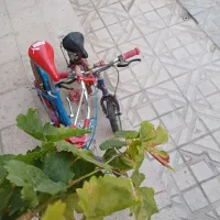 ۲عدد دوچرخه ۱۲ و ۱۶  در زیباشهر|دوچرخه، اسکیت، اسکوتر|قزوین, |دیوار