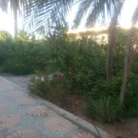 منزل ویلایی لب خیابان اصلی سر دونبش|فروش خانه و ویلا|جهرم, |دیوار