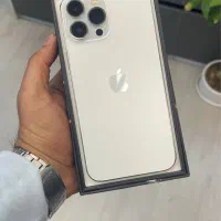 13 pro max