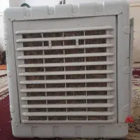 کولر ابی|کولر آبی|بندر دیر, |دیوار