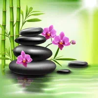 نیازمند مشاوره مالی