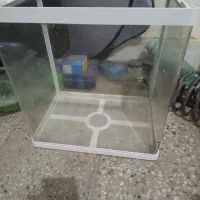 اکواریوم دلسا K60 فروش شگفت انگیز