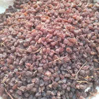 کشمش بیدانه درجه‌ یک|خوردنی و آشامیدنی|قزوین, |دیوار