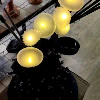 فروش ویژه چراغ باغچه ای خورشیدی ریسه|ریسه و چراغ تزئینی|شیراز, فخرآباد (دروازه کازرون)|دیوار