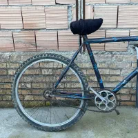 دوچرخه|دوچرخه، اسکیت، اسکوتر|مزرعه کتول, |دیوار