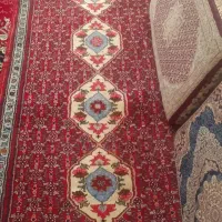 فرش.دست.بافت|فرش|چهاردولی, |دیوار