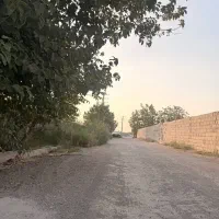 باغ-باغچه
