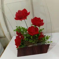 گل مخملی