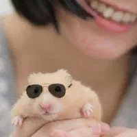 همسترهای فسقلی .بندانگشتی هدیه جذاب ودوستداشتنی