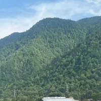 جویای سرایداری