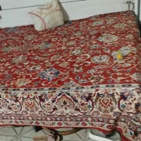 کلکسیون