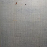 نظافت امور منزل