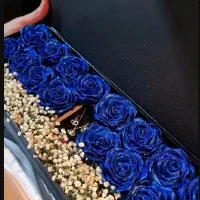 کادو بده|ساعت|سنندج, |دیوار