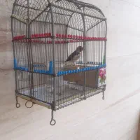قفس دست بافت بروجردی بدون نقص