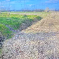 1000متر زمین مسکونی|فروش زمین و ملک کلنگی|رشت, فلسطین|دیوار