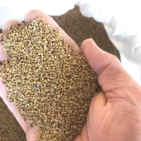 بذر یونجه|خدمات باغبانی و درختکاری|شیراز, فرهنگ شهر|دیوار