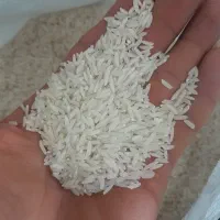 برنج درجه ۱|خوردنی و آشامیدنی|خمام, |دیوار