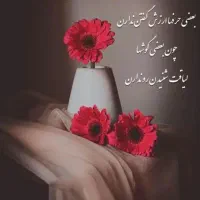 خانه و آشپزخانه